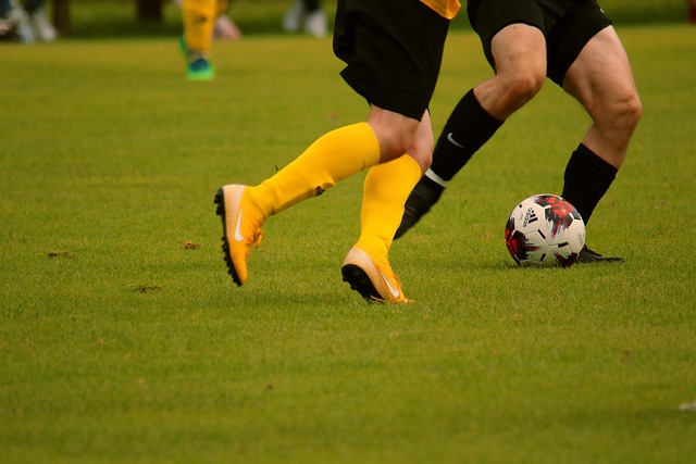 本文将深入 本文将深入